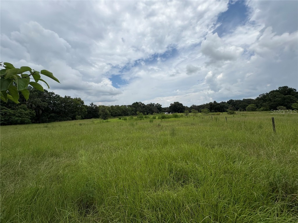 6177 Cr 625 Bushnell FL 33513 TB8411253 image92