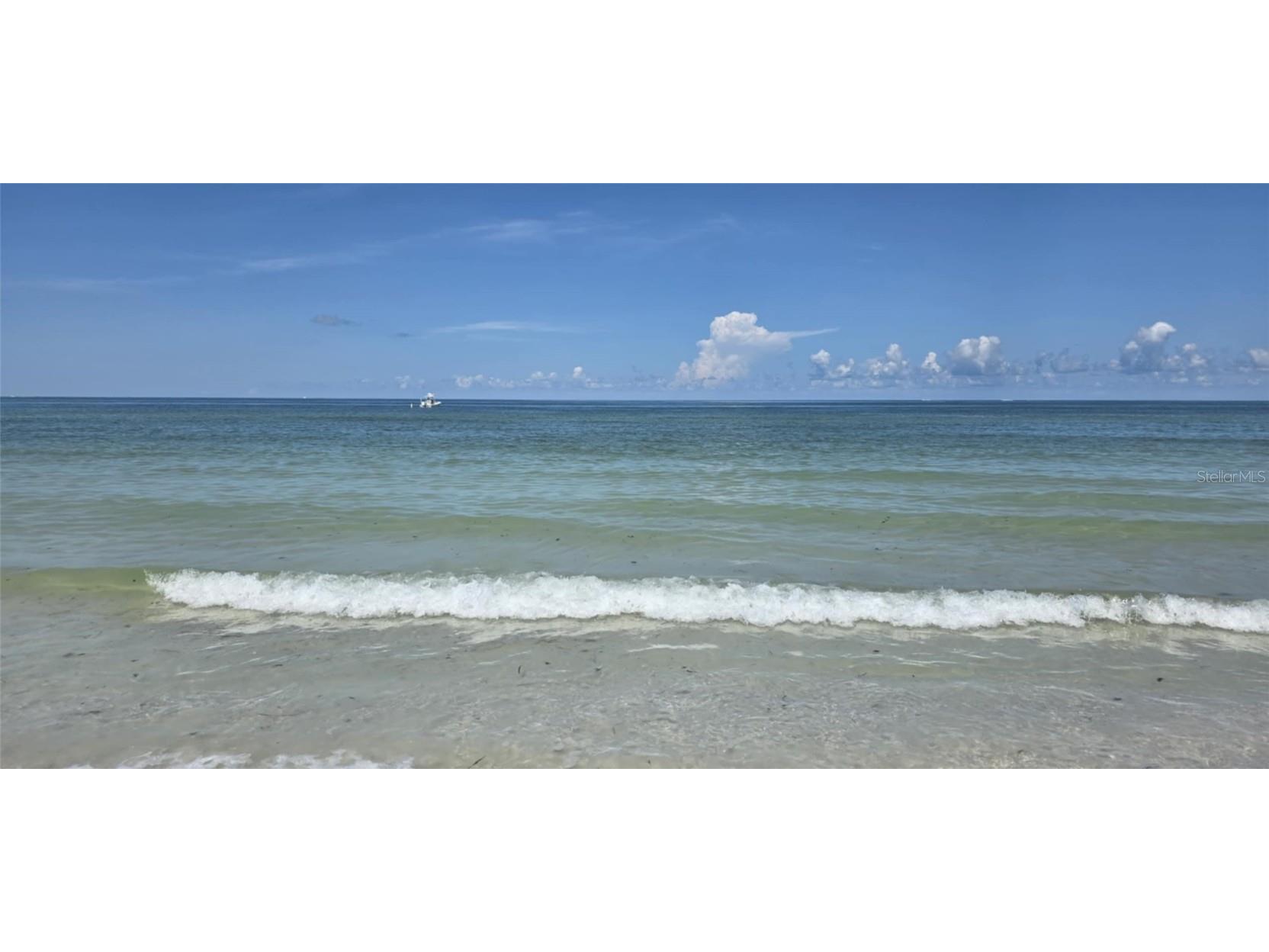 6177 Sun Boulevard #401 Saint Petersburg FL 33715 TB8420530 image8