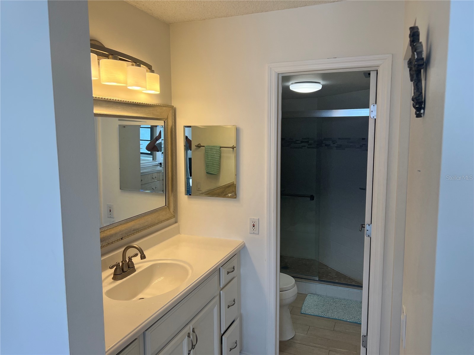 6177 Sun Boulevard #606 Saint Petersburg FL 33715 TB8360606 image12