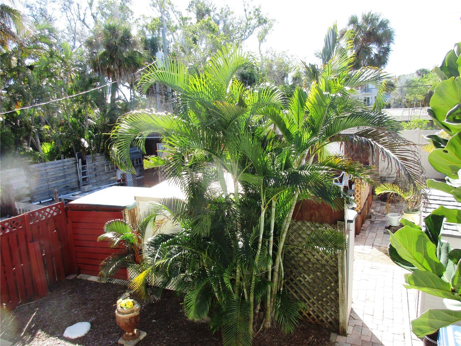 618 Avenida De Mayo Sarasota FL 34242 A4680244 image34