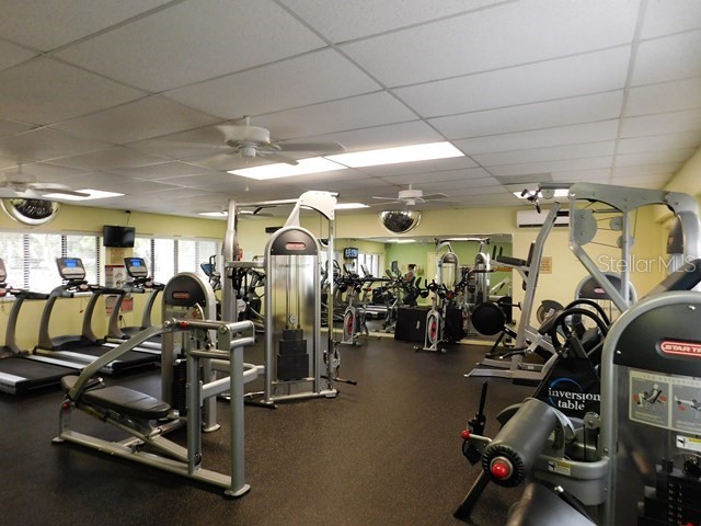 618 Bird Bay Drive S #202 Venice FL 34285 N6134713 image38