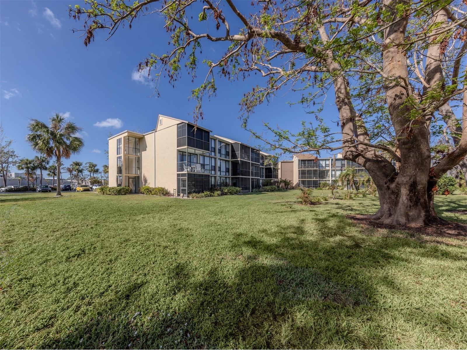 618 Bird Bay Drive S #216 Venice FL 34285 N6143201 image1