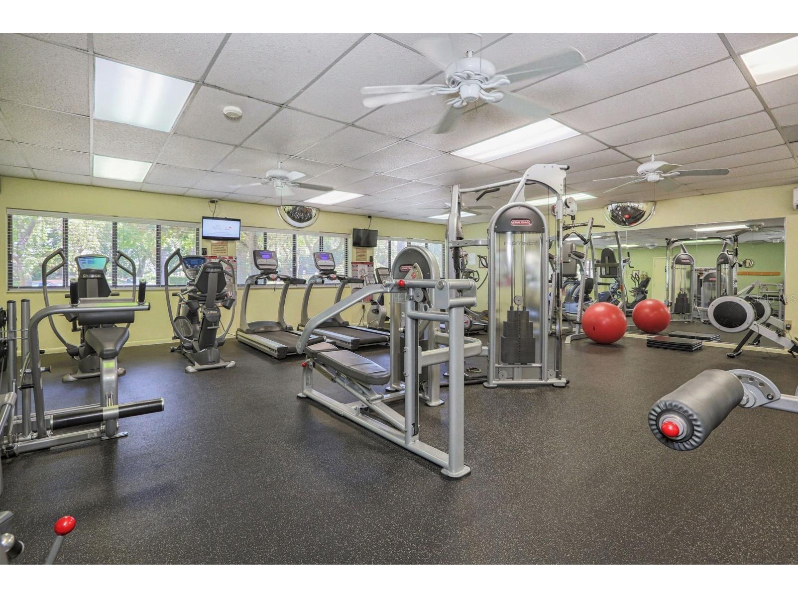 618 Bird Bay Drive S #216 Venice FL 34285 N6143201 image43