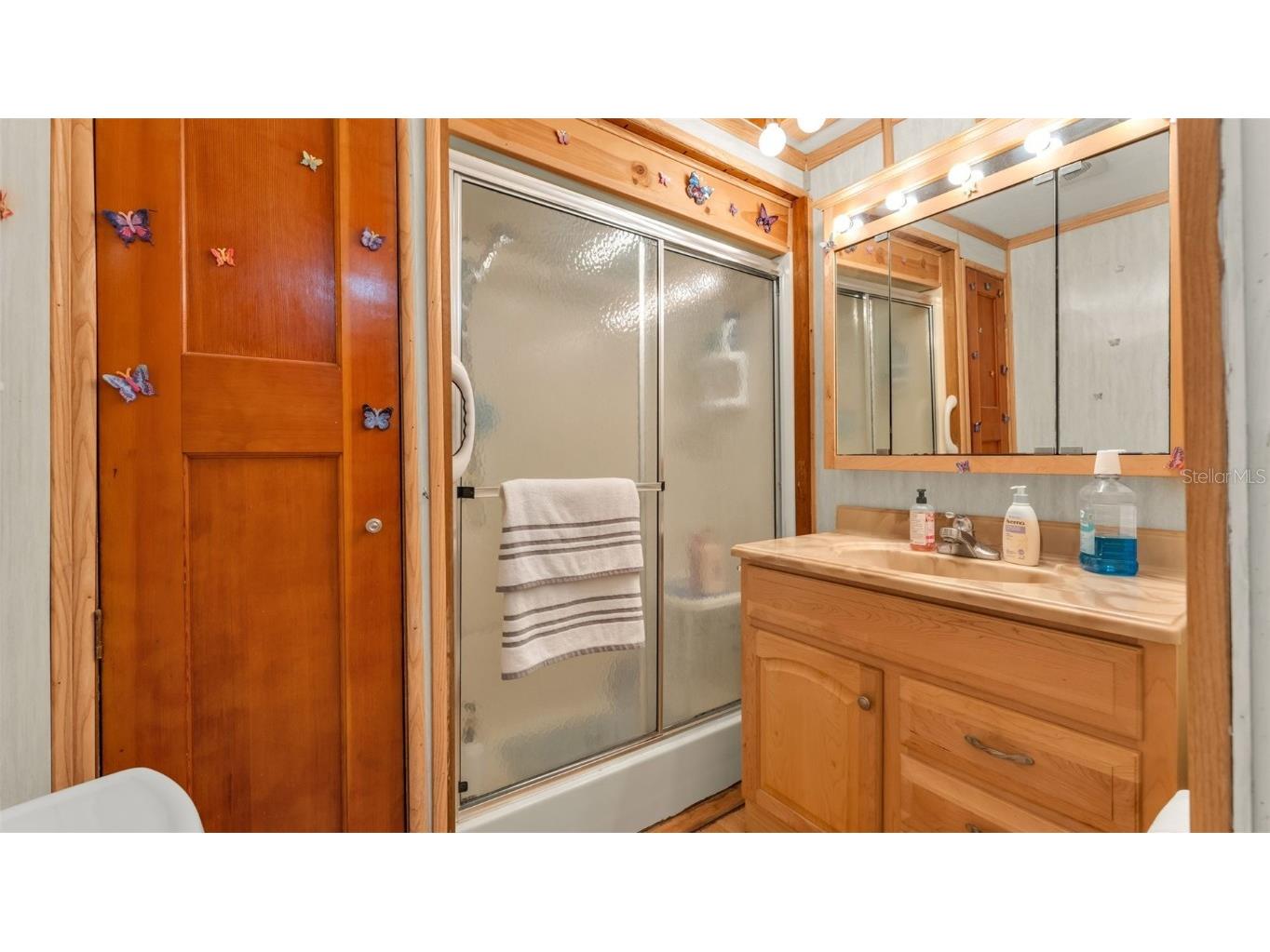 618 Elizabeth Lane Lakeland FL 33809 L4956567 image13