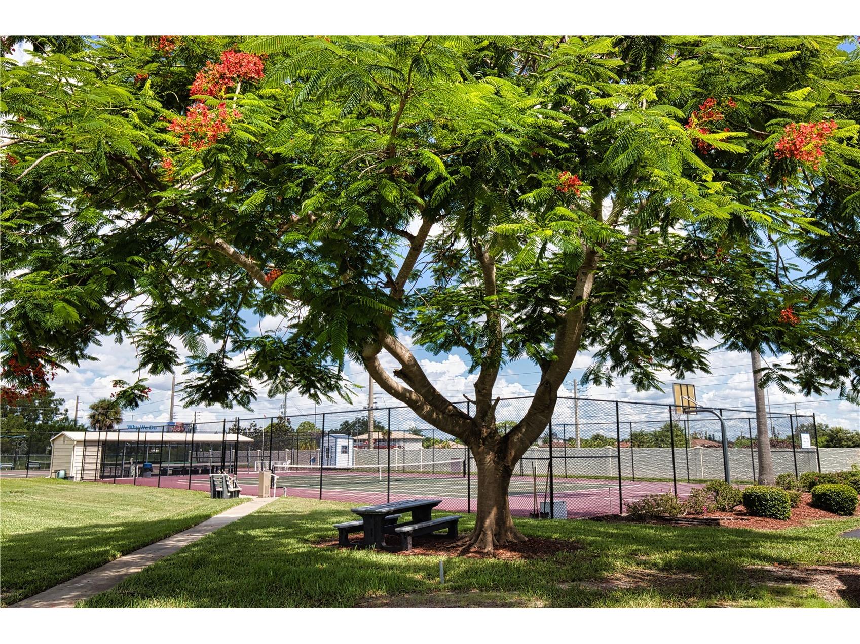 618 Iglesia Drive North Port FL 34287 TB8493528 image62