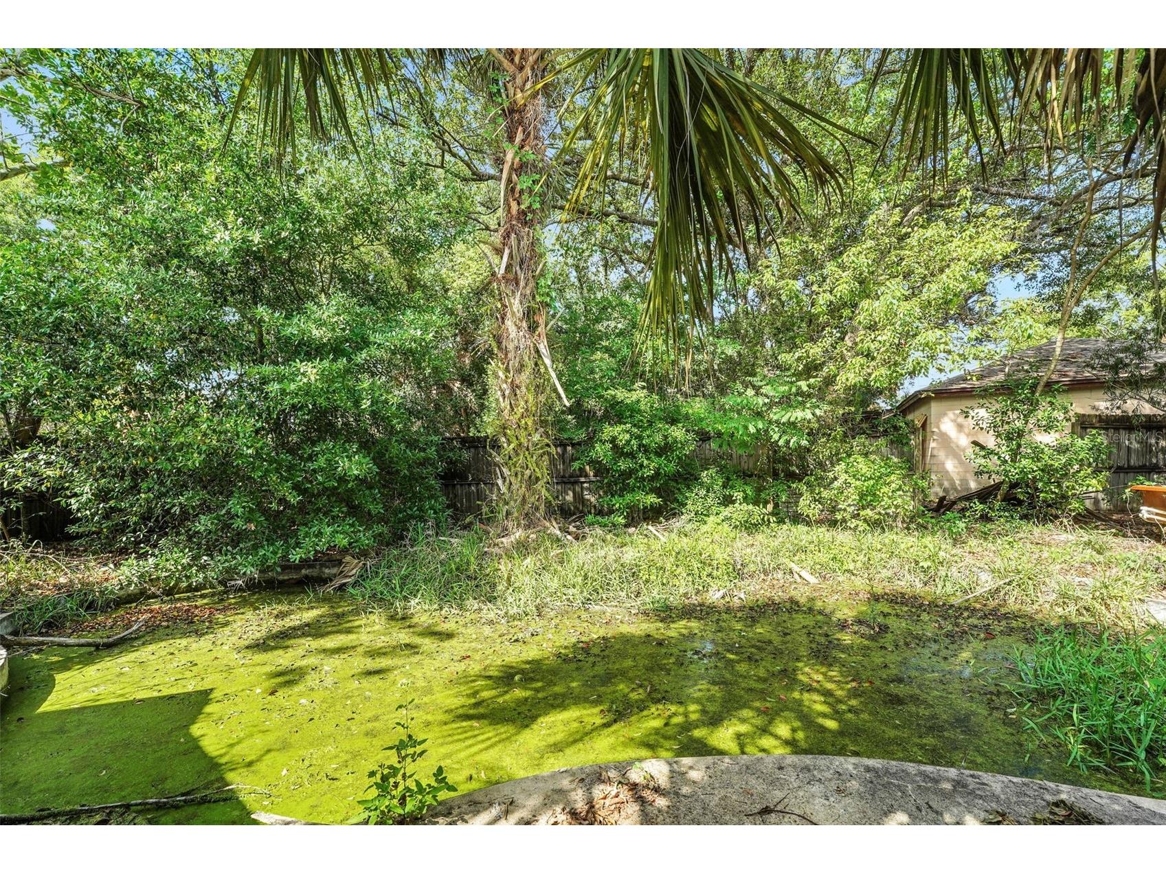 618 Locust Court Winter Springs FL 32708 O6409201 image19