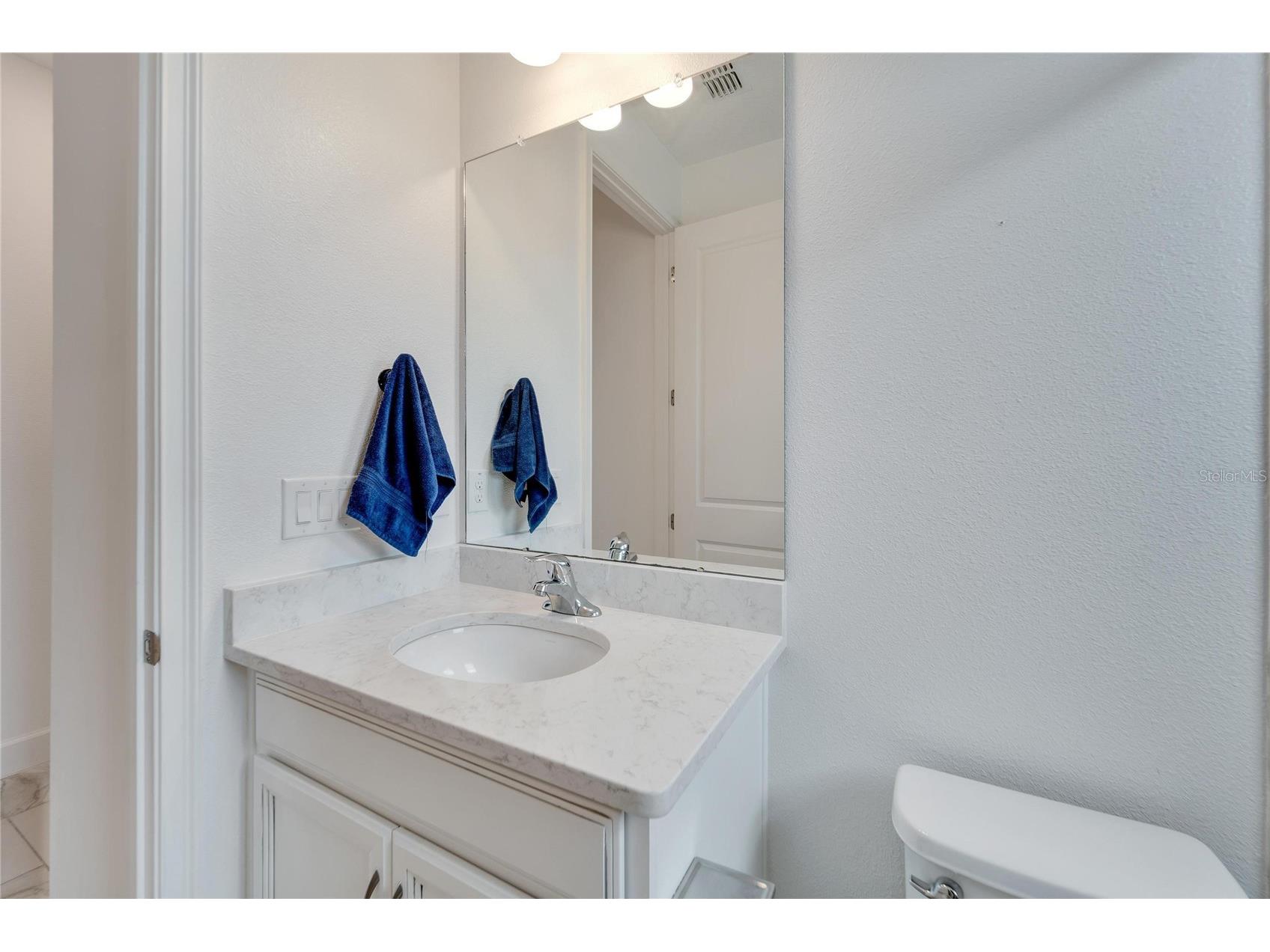 618 Manns Harbor Drive Apollo Beach FL 33572 TB8458584 image41