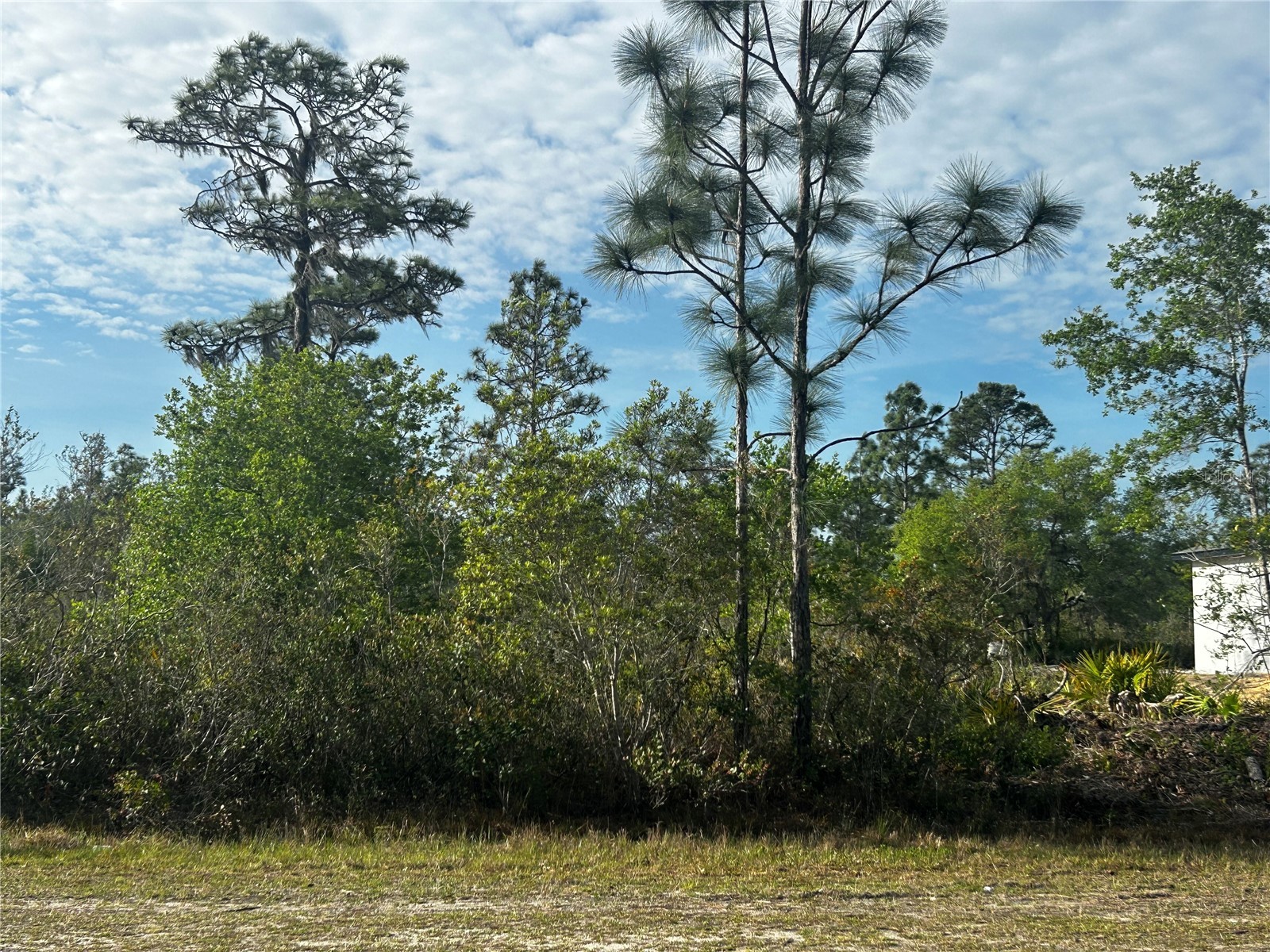 618 Poinciana Drive Indian Lake Estates FL 33855 P4938266 image1