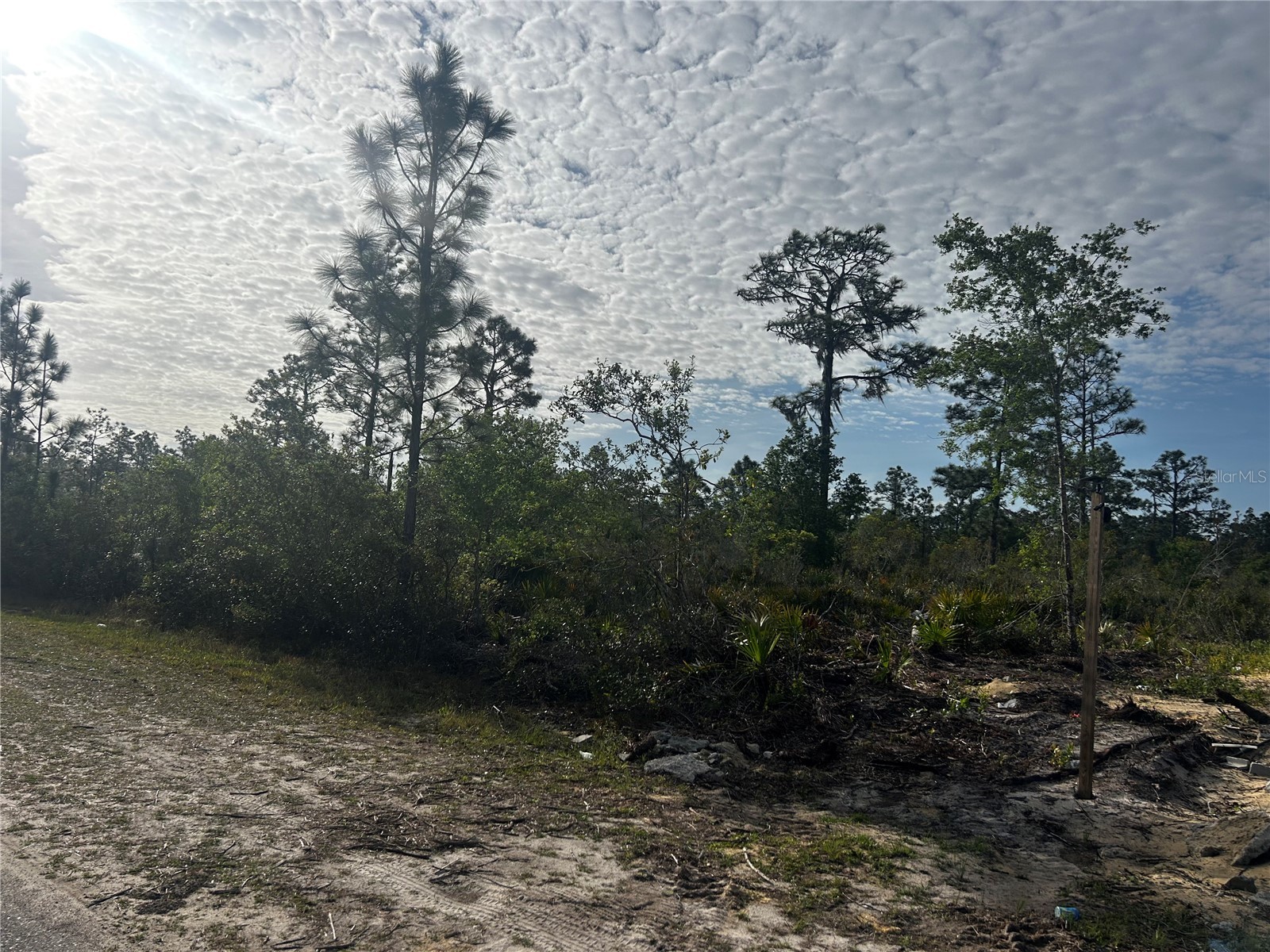 618 Poinciana Drive Indian Lake Estates FL 33855 P4938266 image2