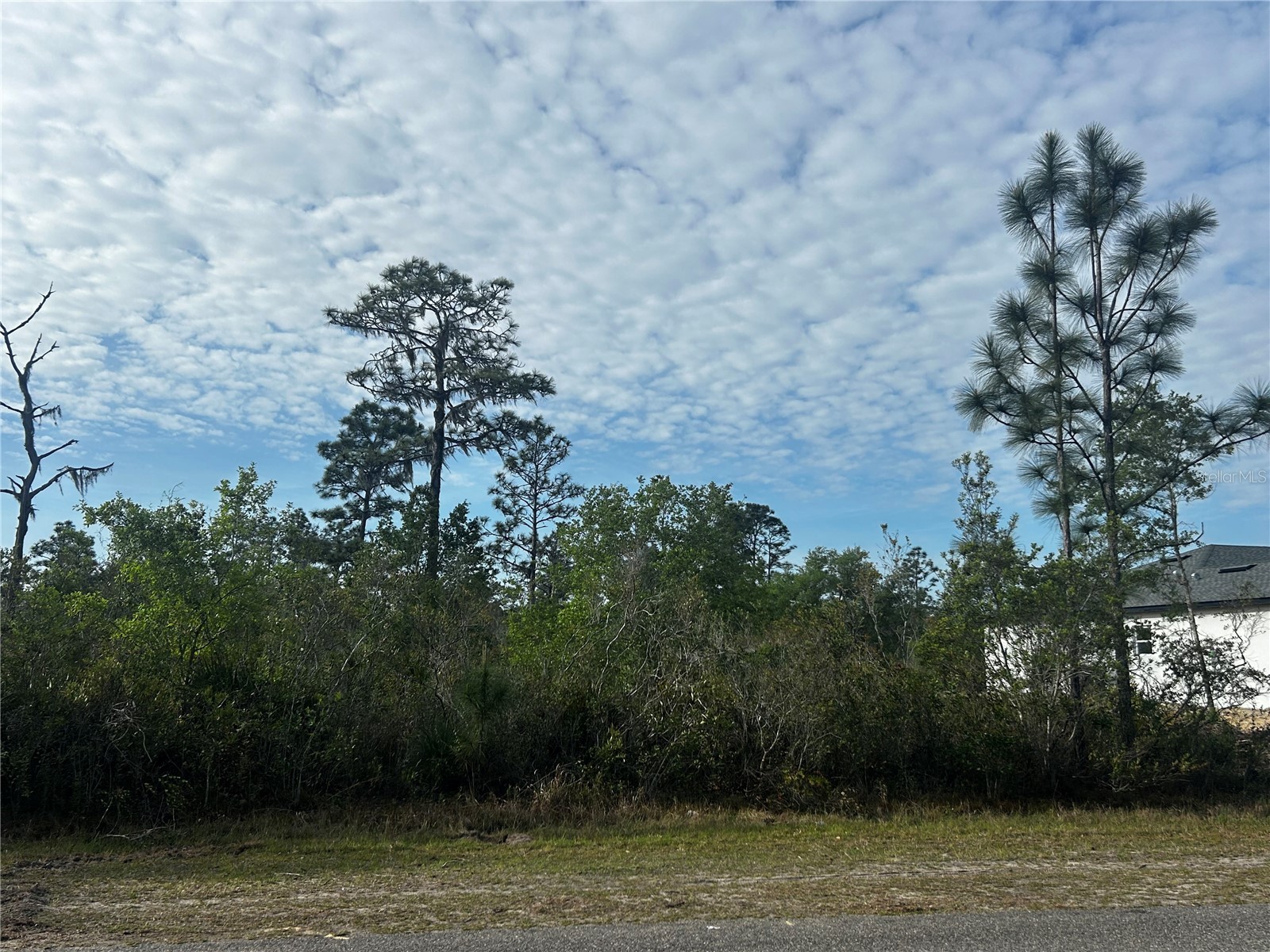 618 Poinciana Drive Indian Lake Estates FL 33855 P4938266 image3