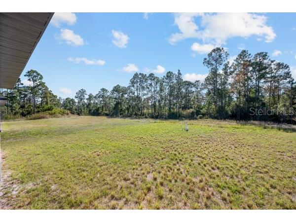 618 Raintree Street E Lehigh Acres FL 33974 S5137990 image24