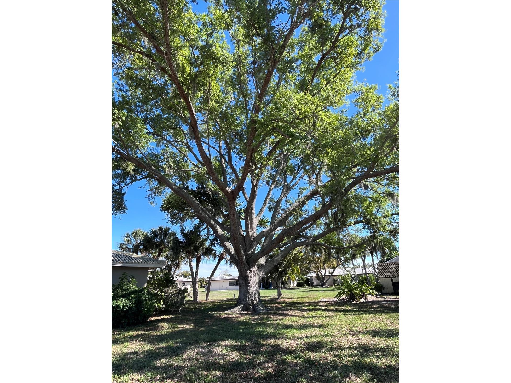 618 Rubens Drive #618 Nokomis FL 34275 N6143486 image6