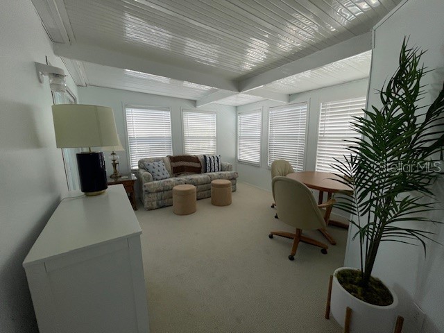 618 S Green Circle Venice FL 34285 N6142868 image4