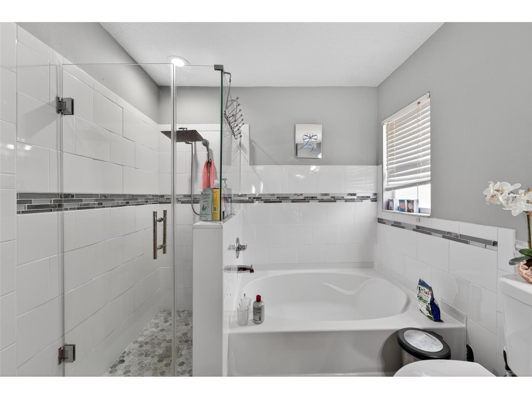 618 Somerstone Drive Valrico FL 33594 TB8454596 image25