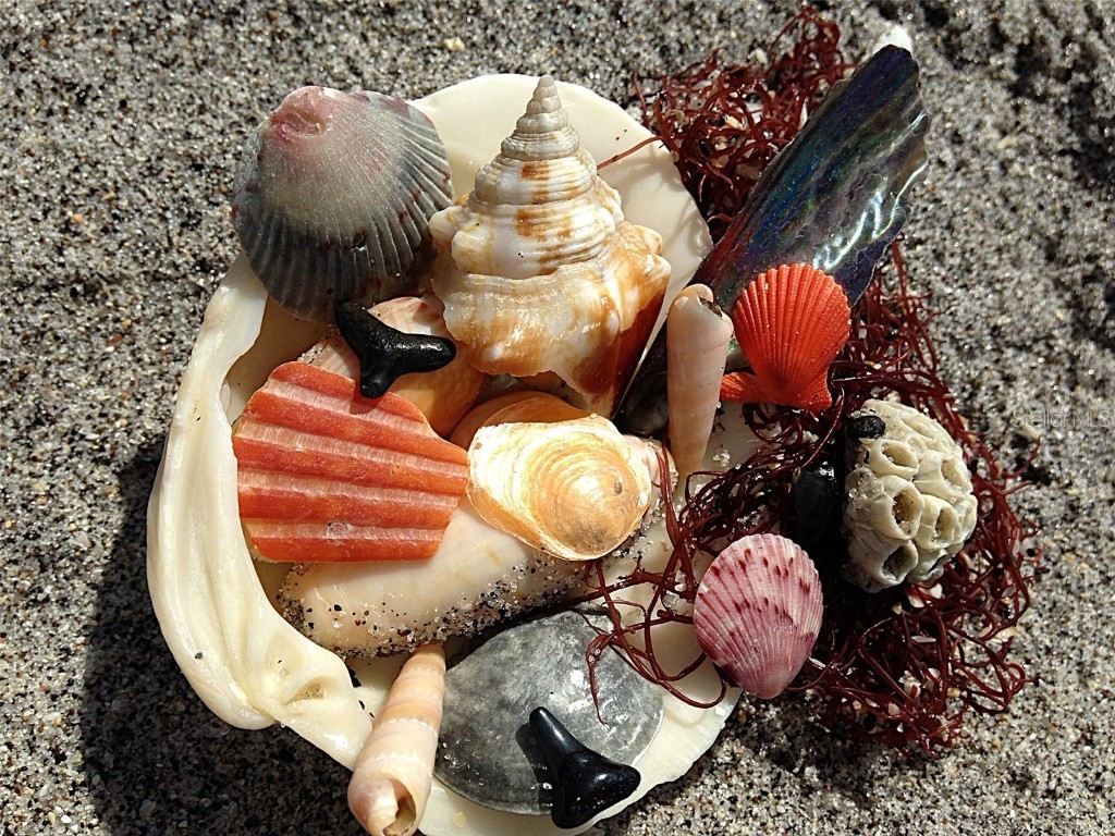 6180 Manasota Key Road #GULF SIDE Englewood FL 34223 D6142807 image15