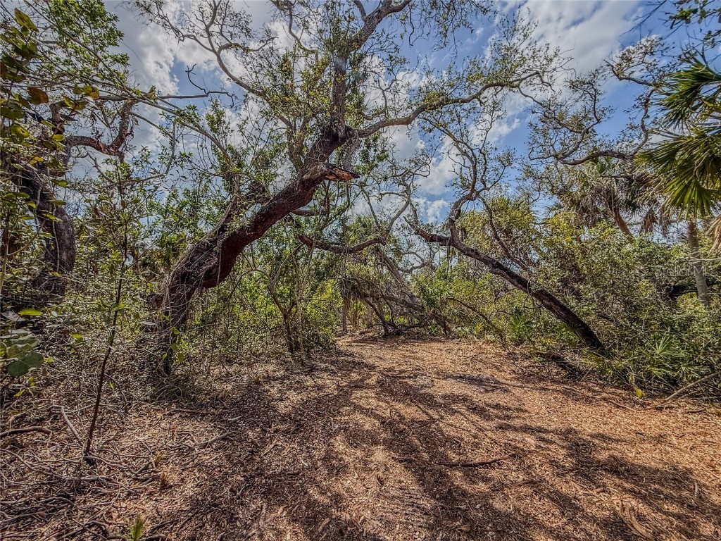 6180 Manasota Key Road #GULF SIDE Englewood FL 34223 D6142807 image24