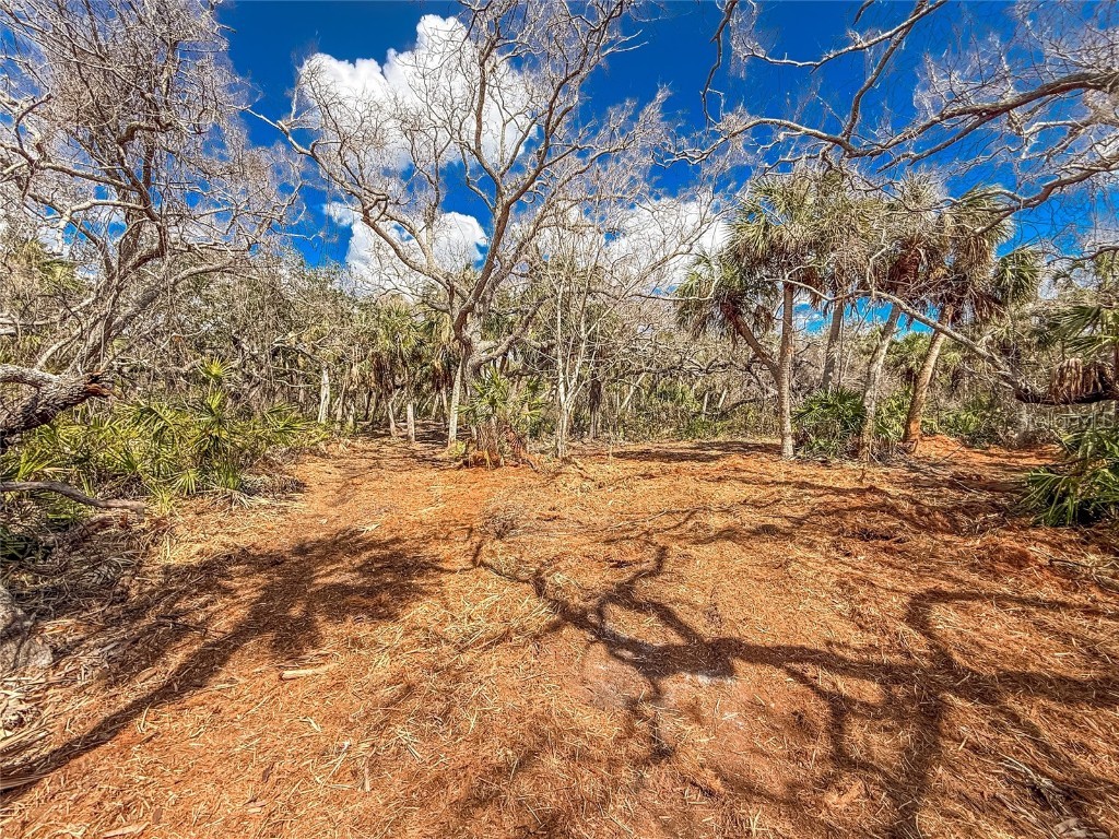 6180 Manasota Key Road #GULF SIDE Englewood FL 34223 D6142807 image25