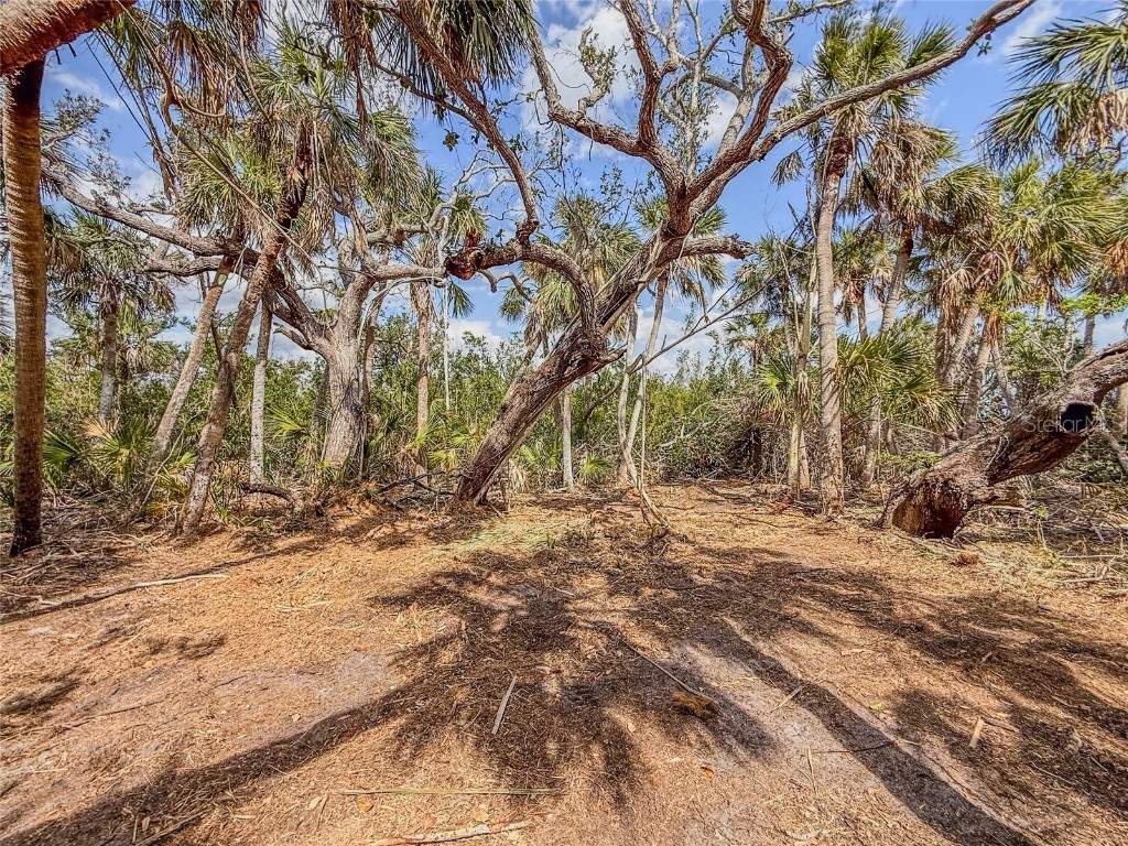 6180 Manasota Key Road #GULF SIDE Englewood FL 34223 D6142807 image9