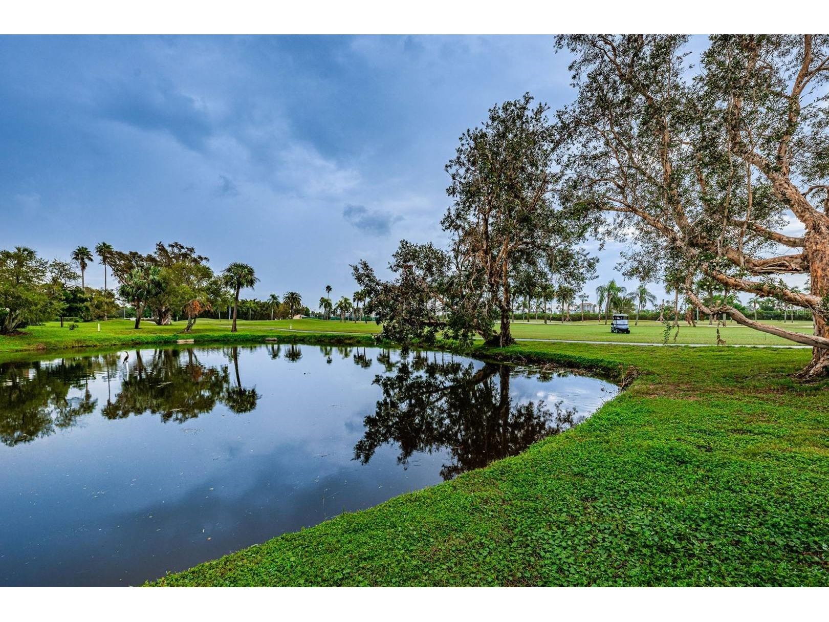 6180 Sun Boulevard #106 Saint Petersburg FL 33715 TB8473175 image1