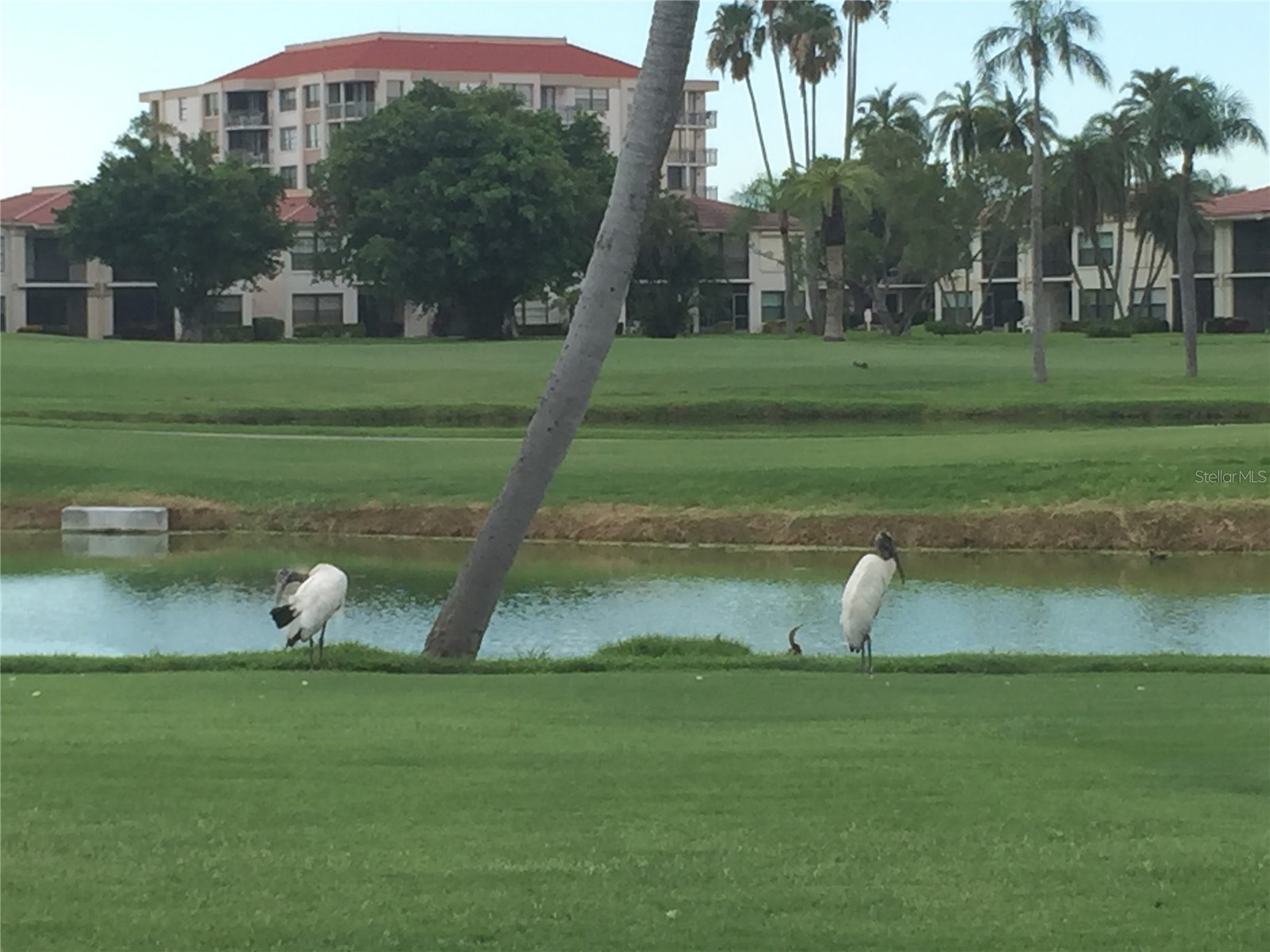 6180 Sun Boulevard #115 Saint Petersburg FL 33715 O6398495 image17