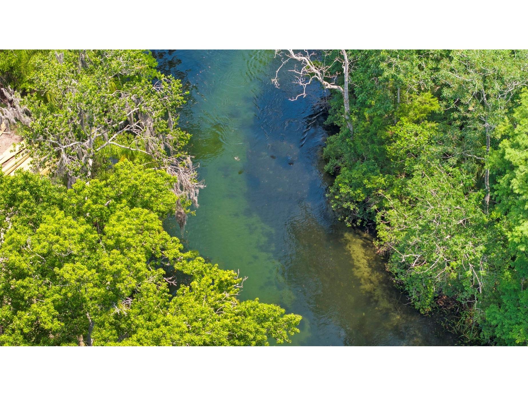 6183 Waverly Road Weeki Wachee FL 34607 - WEEKI WACHEE RIVER TB8508813 image21
