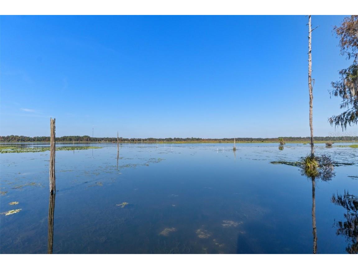 6185 W Riverbend Road Dunnellon FL 34433 OM713845 image46