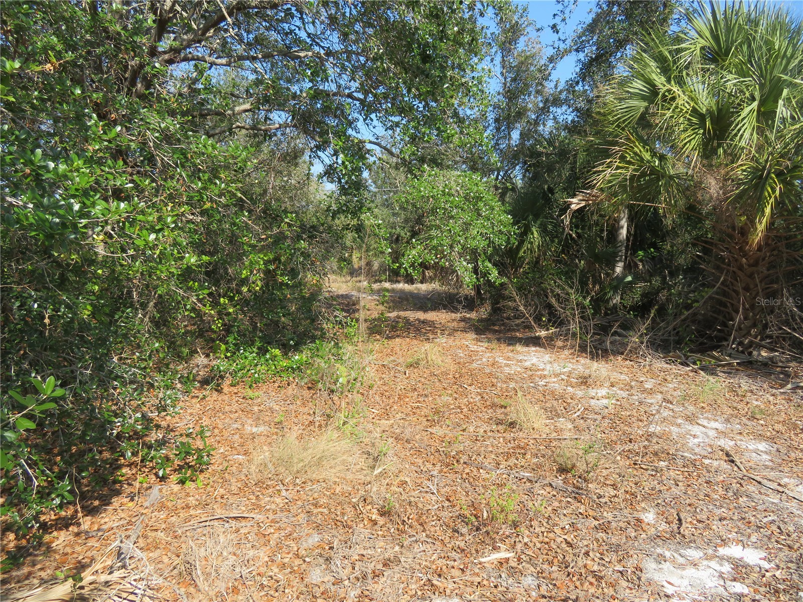 6186 Herb Street Englewood FL 34224 N6143449 image3
