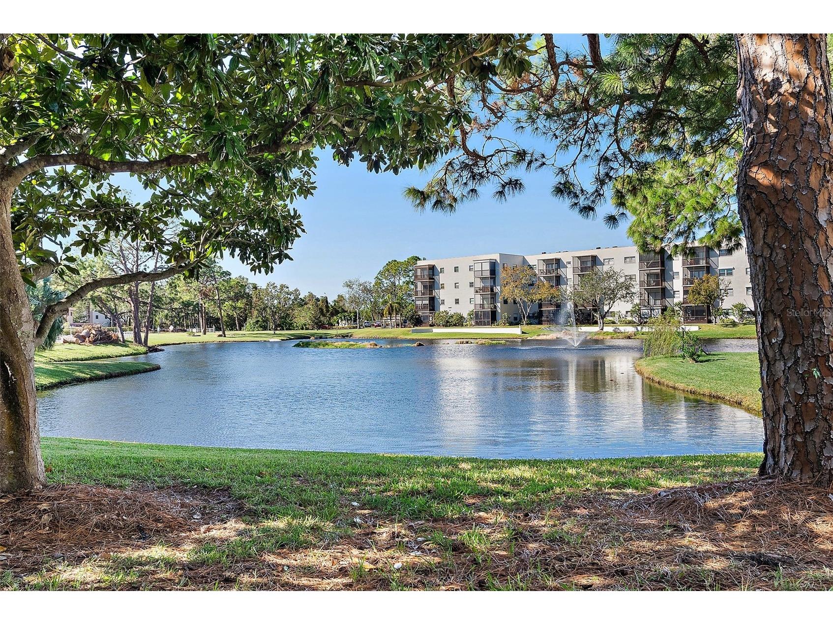6188 80th Street N #303 Saint Petersburg FL 33709 TB8464396 image20