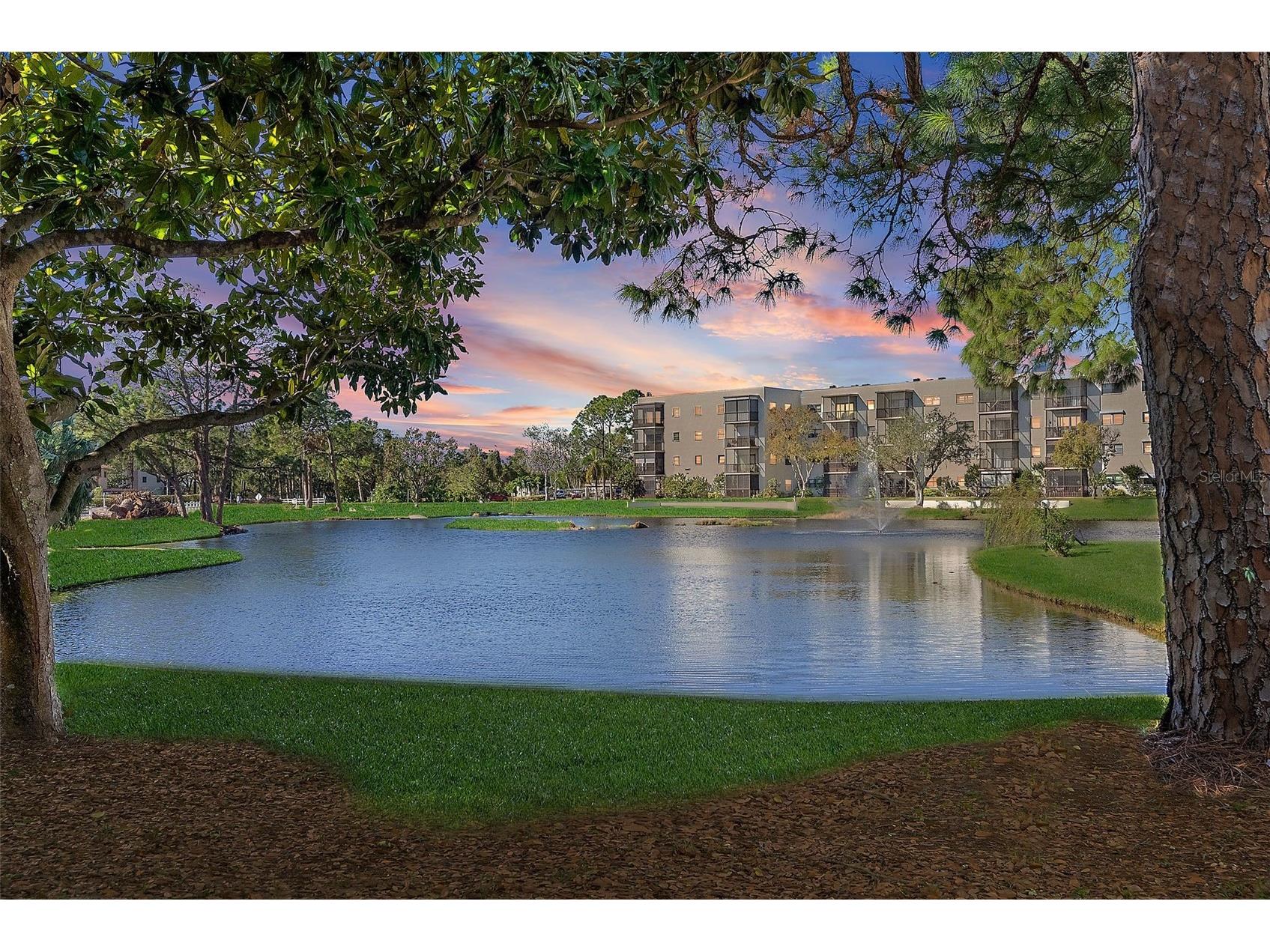 6188 80th Street N #303 Saint Petersburg FL 33709 TB8464396 image23