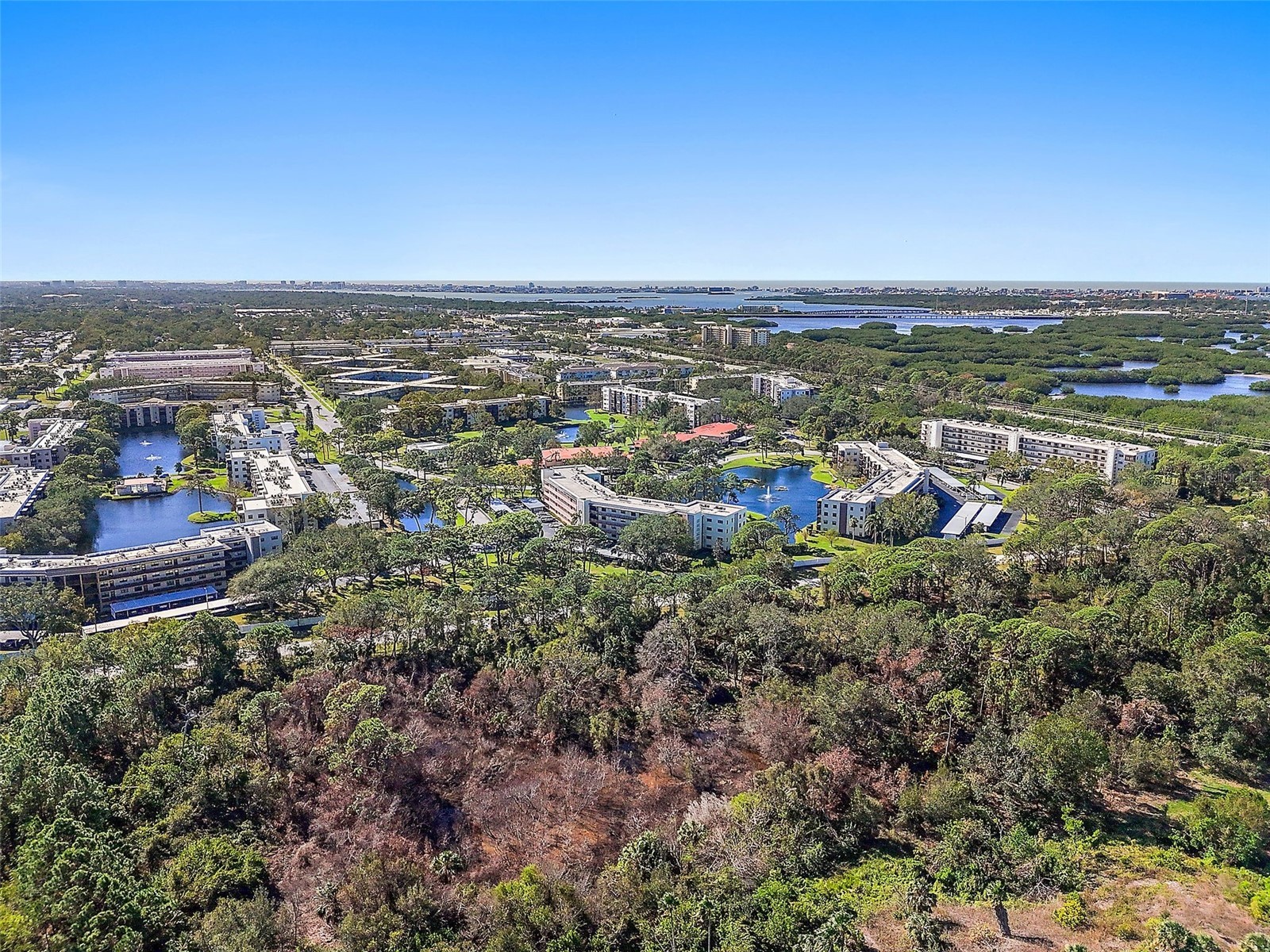 6188 80th Street N #303 Saint Petersburg FL 33709 TB8464396 image26