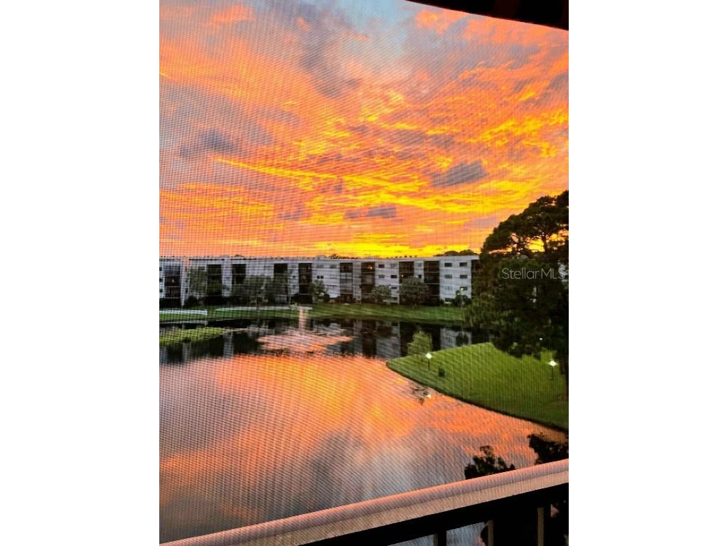6188 80th Street N #402 Saint Petersburg FL 33709 TB8343702 image1