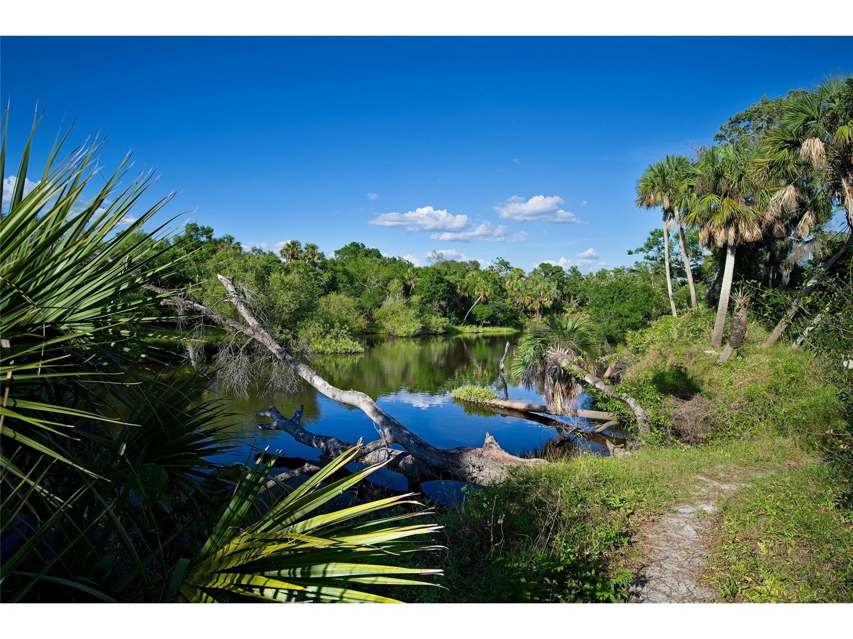 6188 Talon Preserve Drive Nokomis FL 34275 N6142621 image93