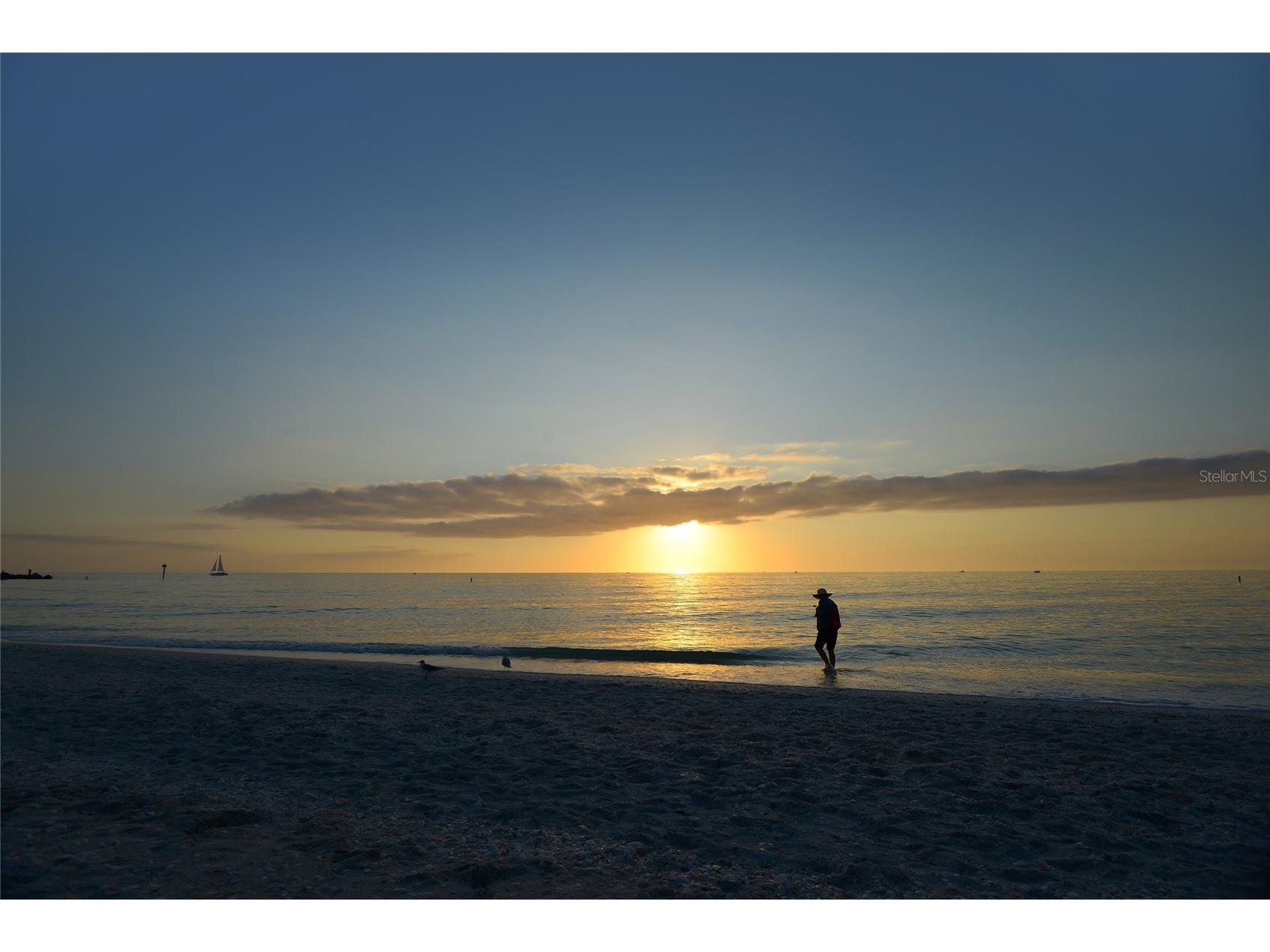 6188 Talon Preserve Drive Nokomis FL 34275 N6142621 image97