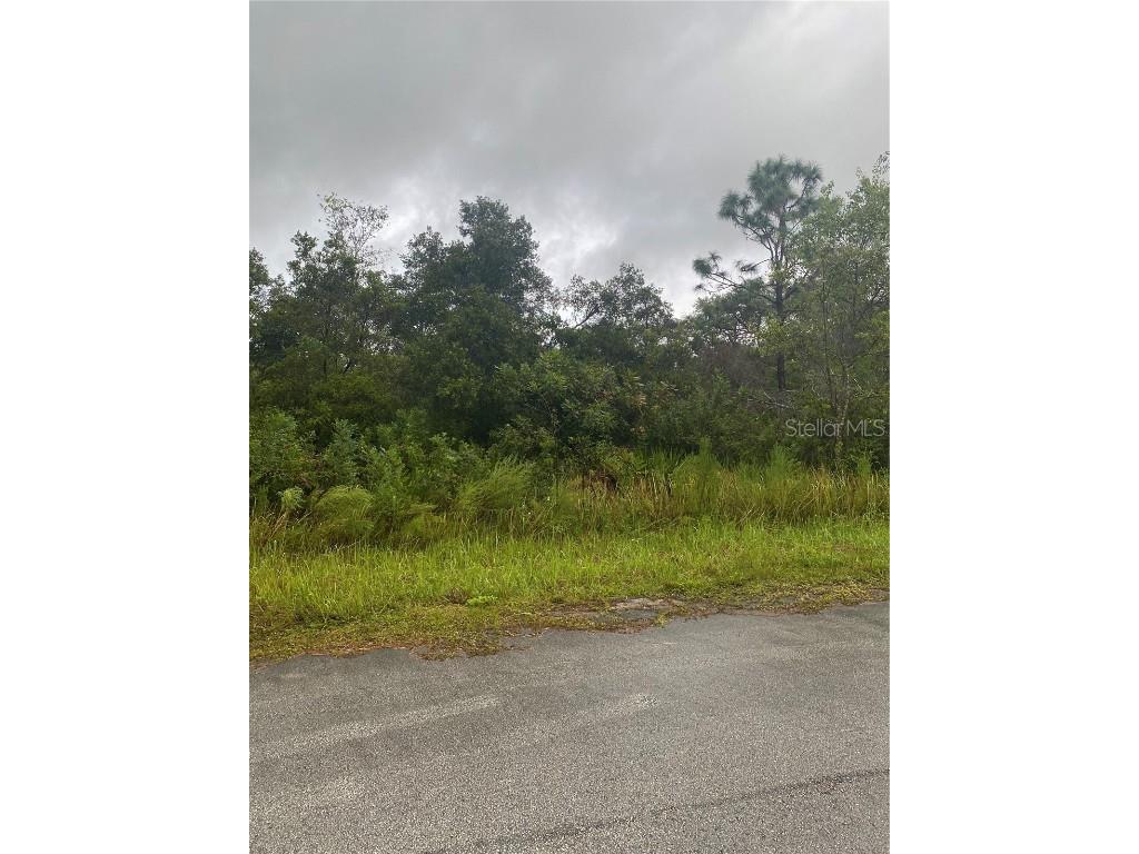 6189 N Buckland Drive Citrus Springs FL 34434 U8191278 image1