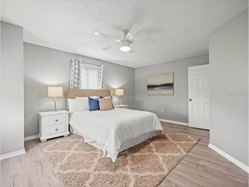 619 2nd Street #3 Indian Rocks Beach FL 33785 TB8378532 image20