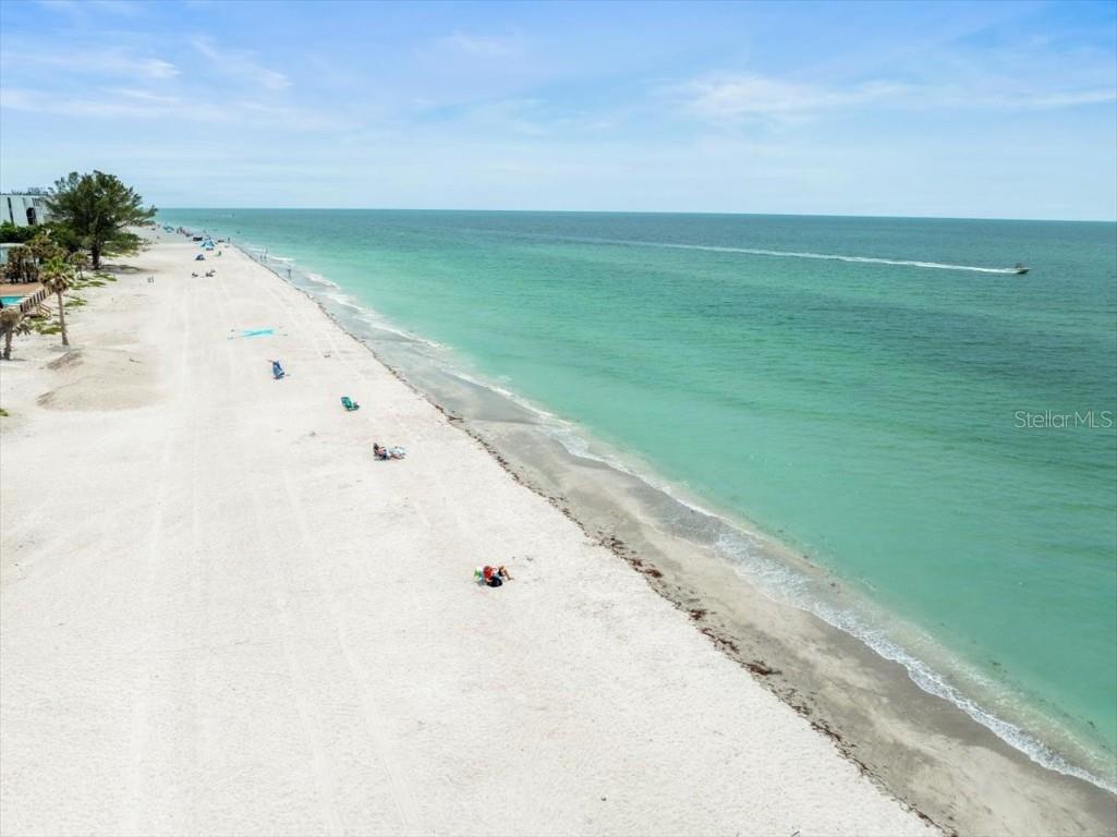 619 2nd Street #3 Indian Rocks Beach FL 33785 TB8378532 image35