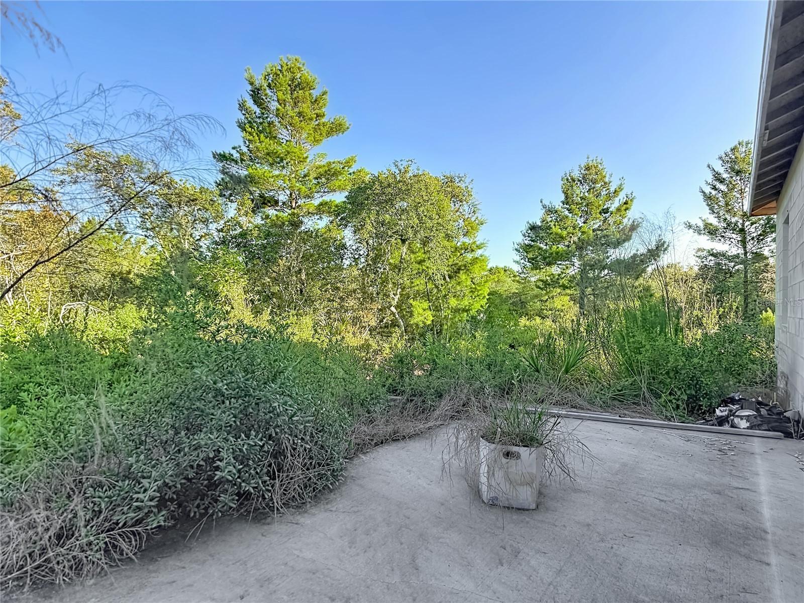 619 Alafia Place Poinciana FL 34759 S5150911 image43