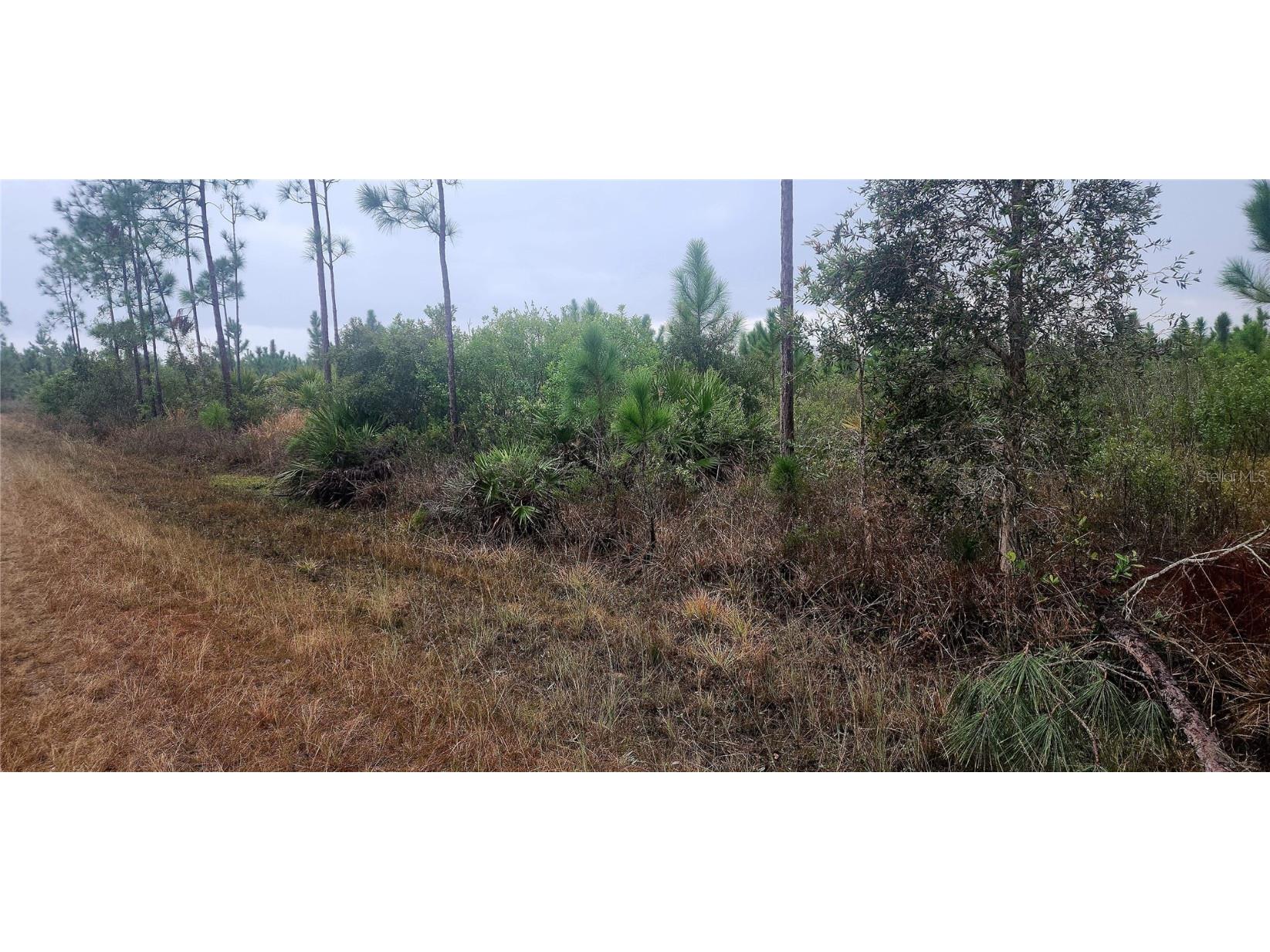 619 Calendula Drive Indian Lake Estates FL 33855 P4933452 image1