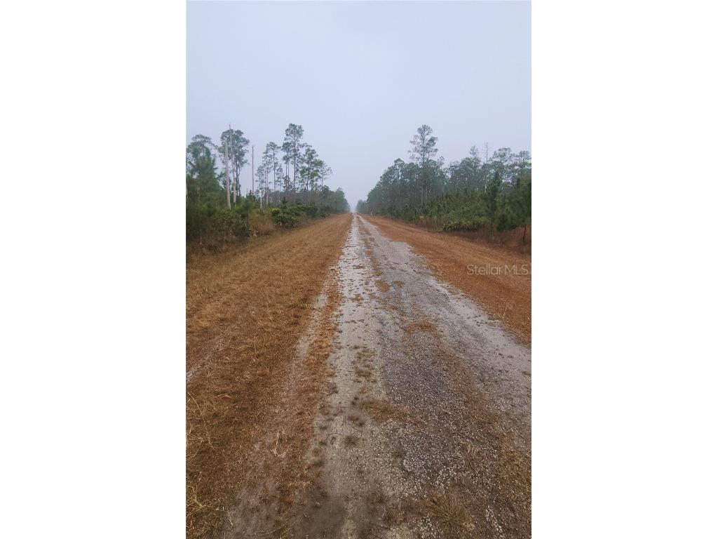 619 Calendula Drive Indian Lake Estates FL 33855 P4933452 image3