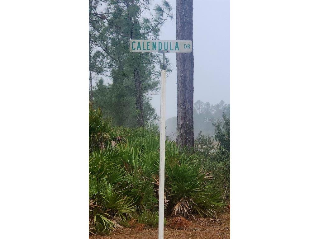 619 Calendula Drive Indian Lake Estates FL 33855 P4933452 image4