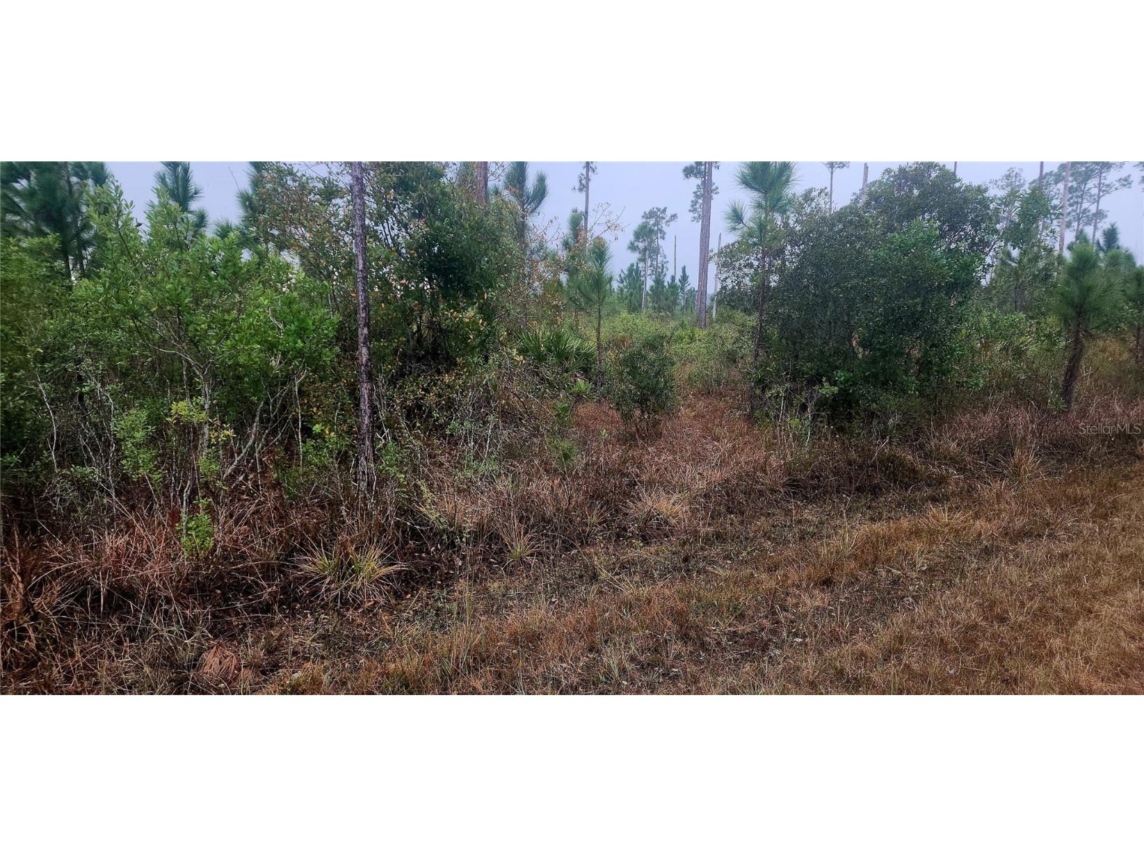 619 Calendula Drive Indian Lake Estates FL 33855 P4933452 image6