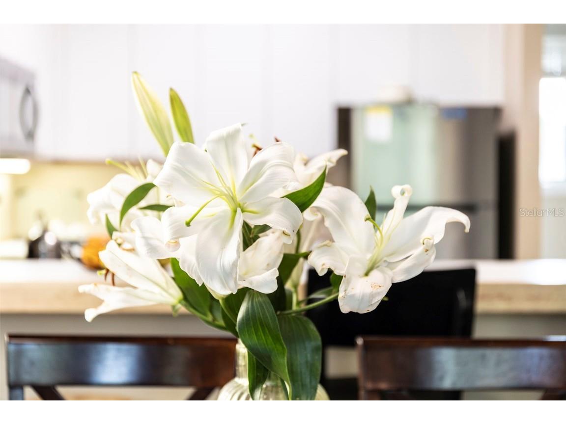 619 Cedars Court Longboat Key FL 34228 A4629084 image85