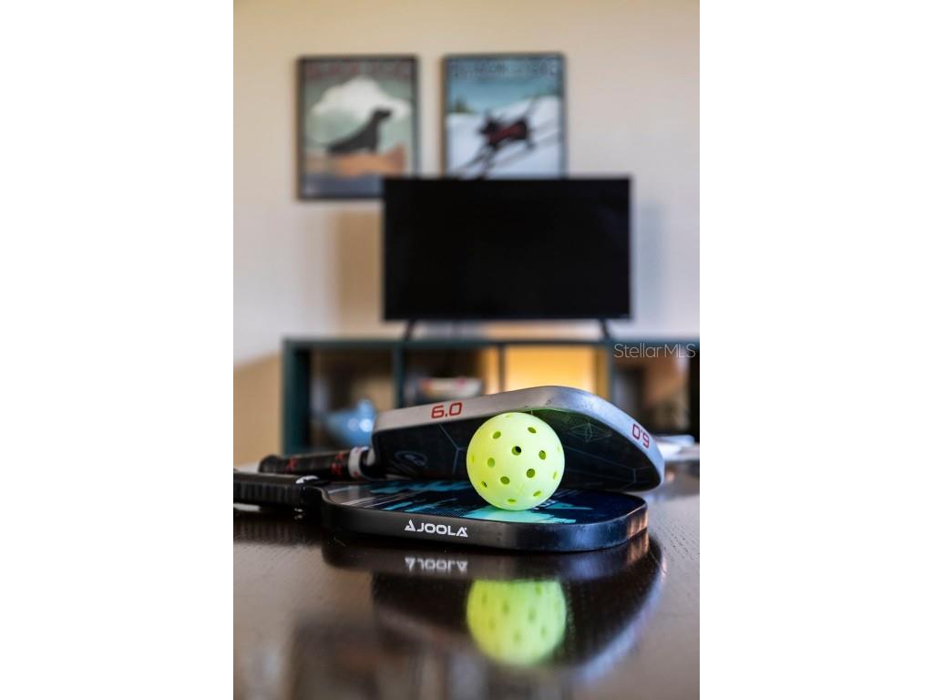 619 Cedars Court Longboat Key FL 34228 A4629084 image86