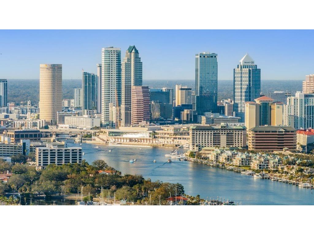 619 Danube Avenue Tampa FL 33606 TB8430304 image48