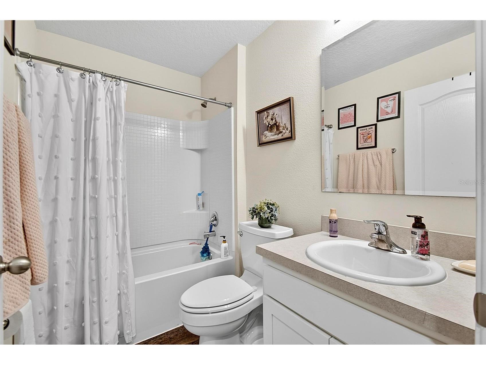 619 Grand Reserve Drive Bunnell FL 32110 FC319268 image16