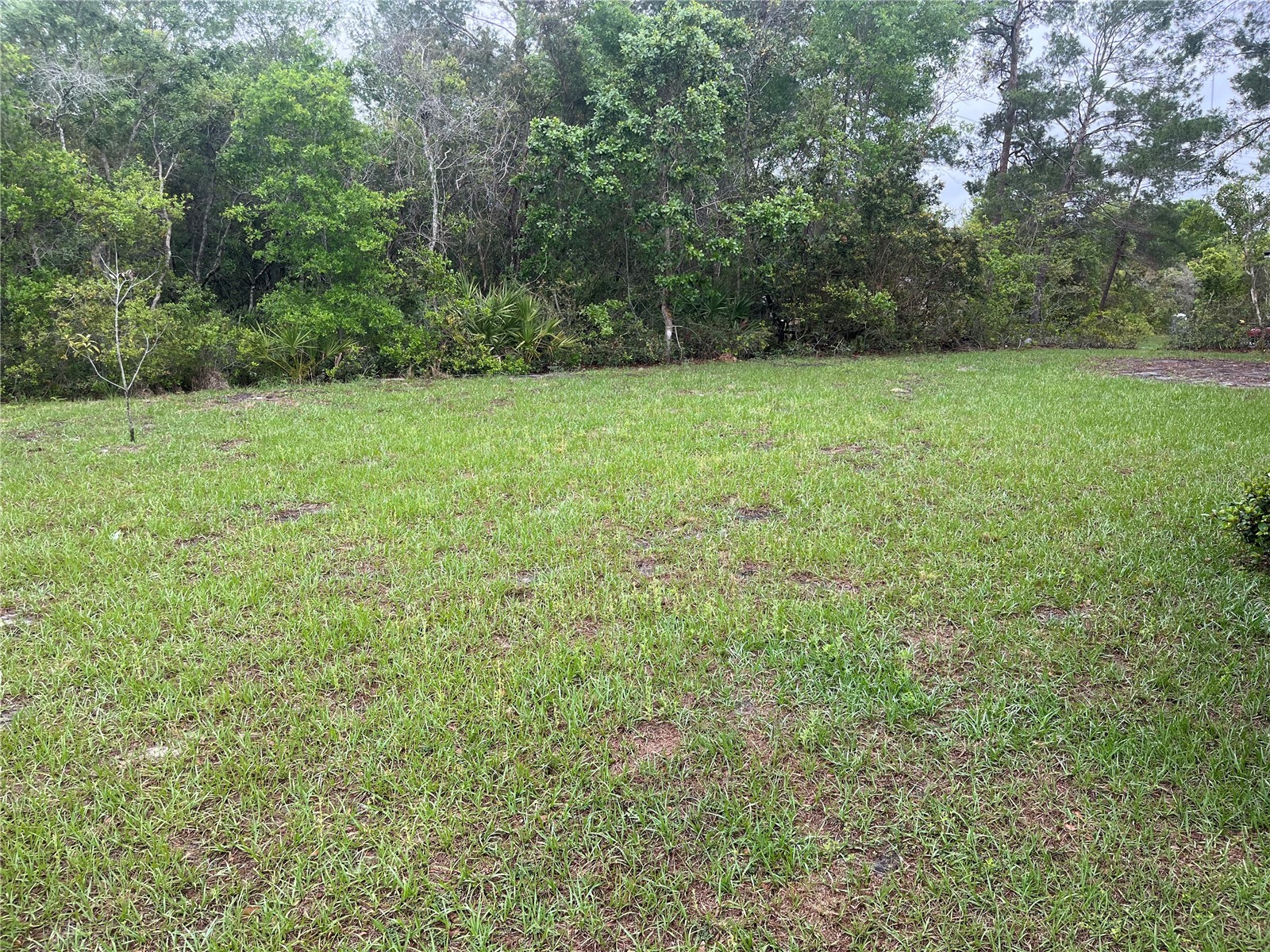 619 Hickory Avenue Orange City FL 32763 S5151115 image23
