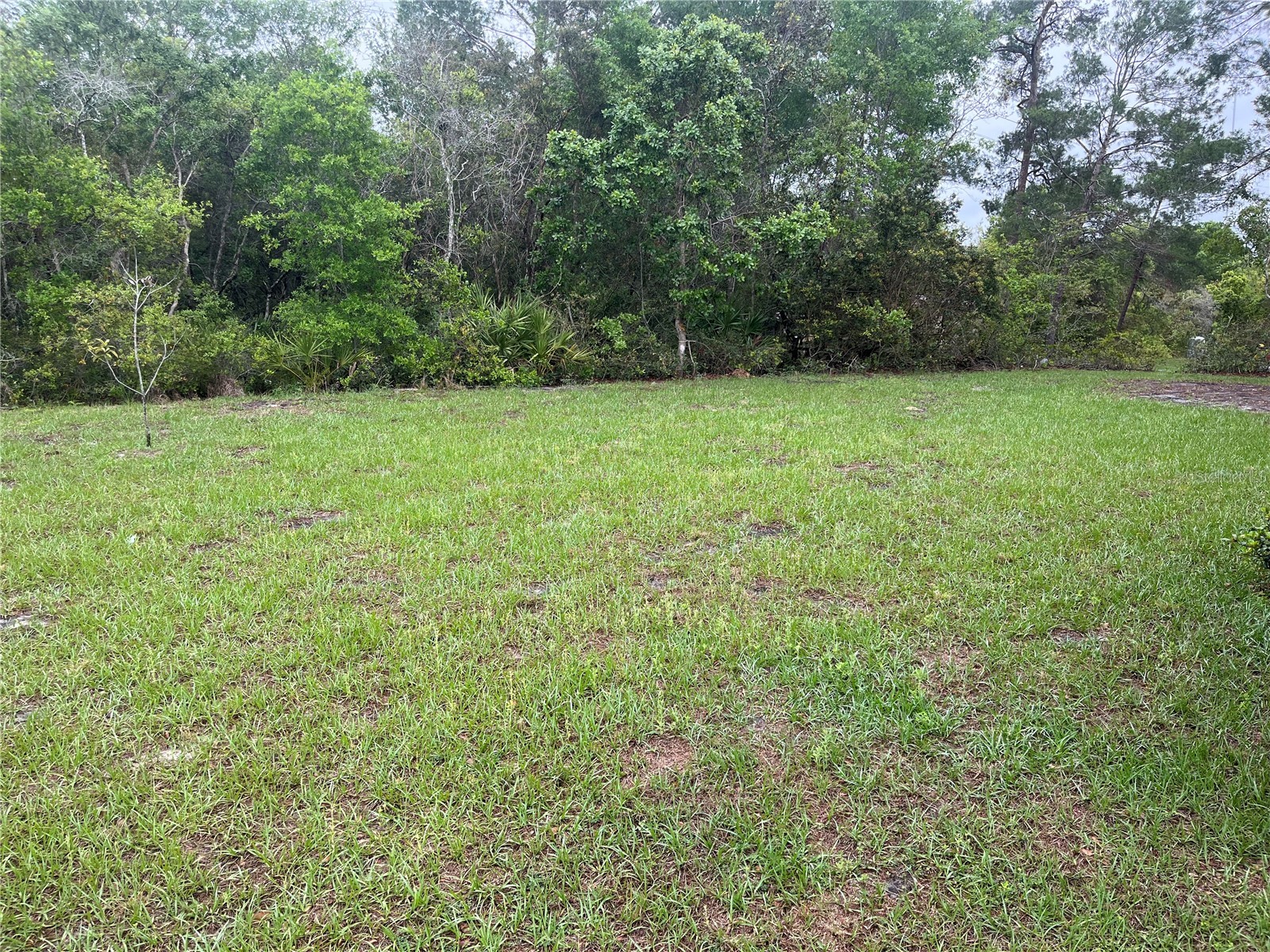 619 Hickory Avenue Orange City FL 32763 S5151115 image25