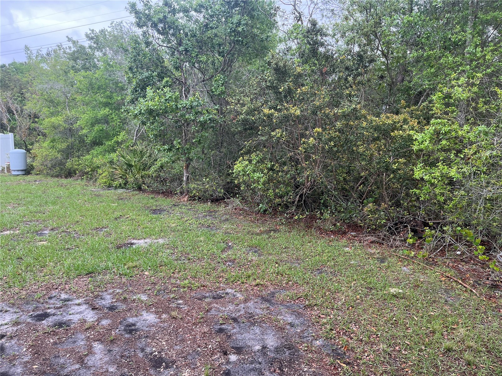 619 Hickory Avenue Orange City FL 32763 S5151115 image34