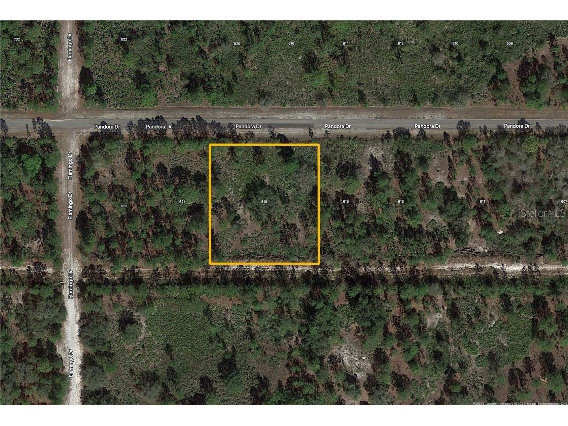 619 Pandora Drive Indian Lake Estates FL 33855 - WALK-IN-WATER T3431074 image1