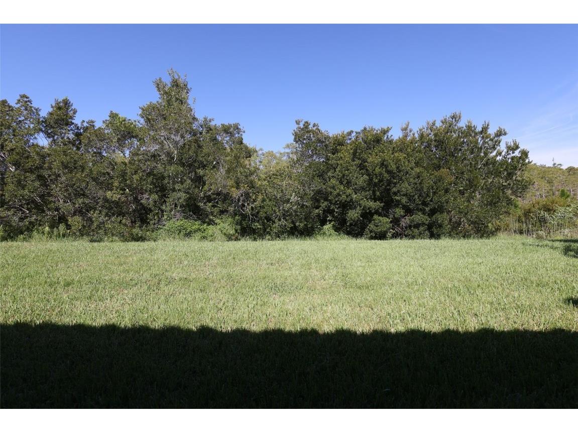 619 Tapatio Lane Kissimmee FL 34759 S5122696 image27